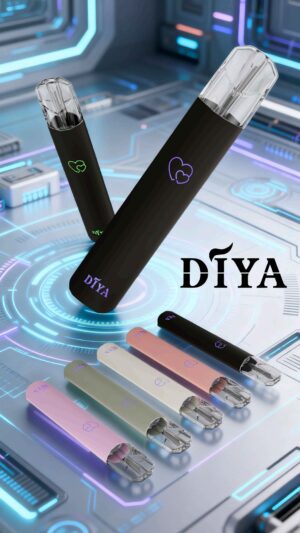 DIYA新主機 DIYA叮啞主機🍭通用一代主機CP值超高