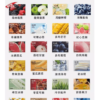ILIA哩啞煙彈一代通用🍬3顆入❤️‍🔥濃厚度的冠軍